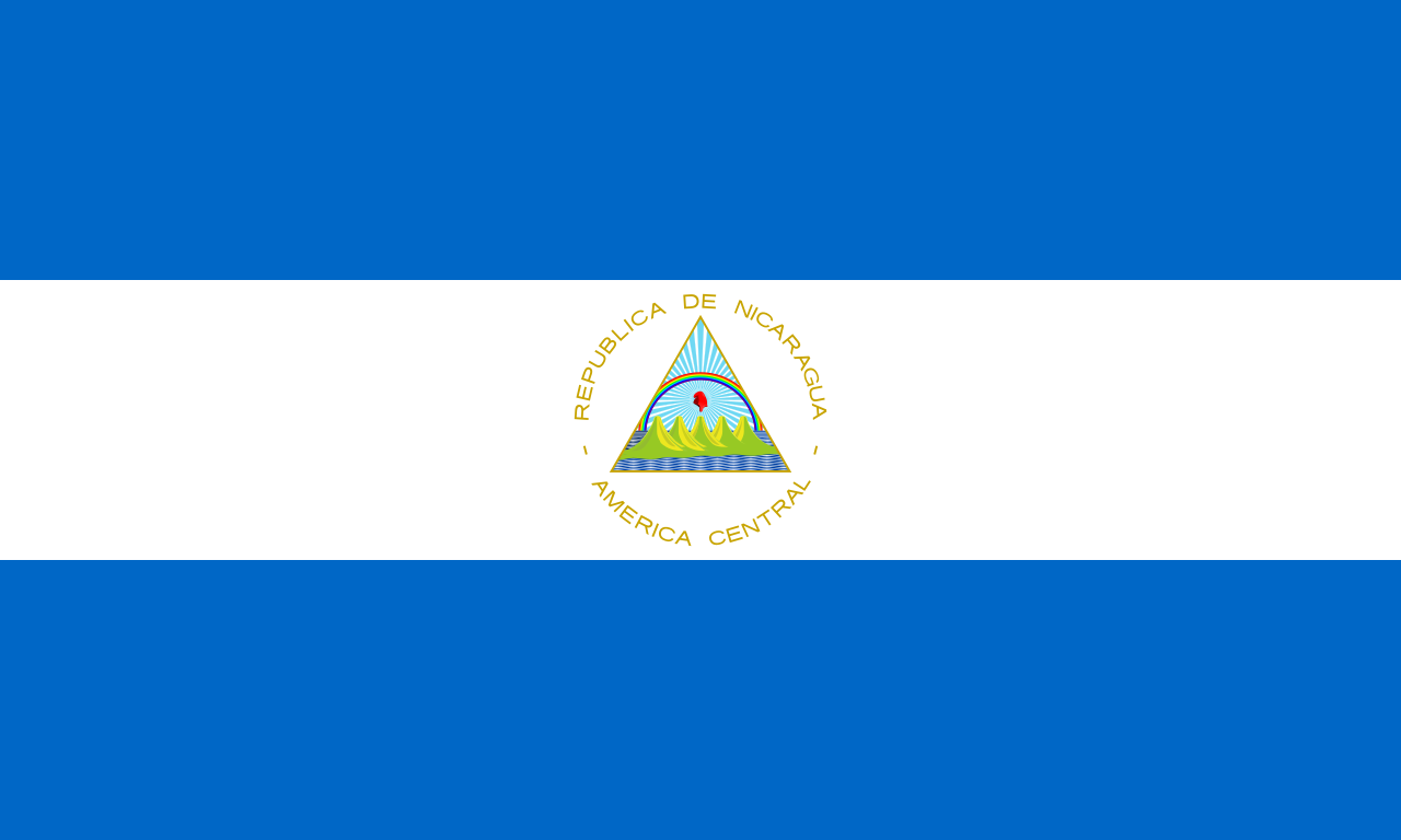 Vietnamese Dong flag